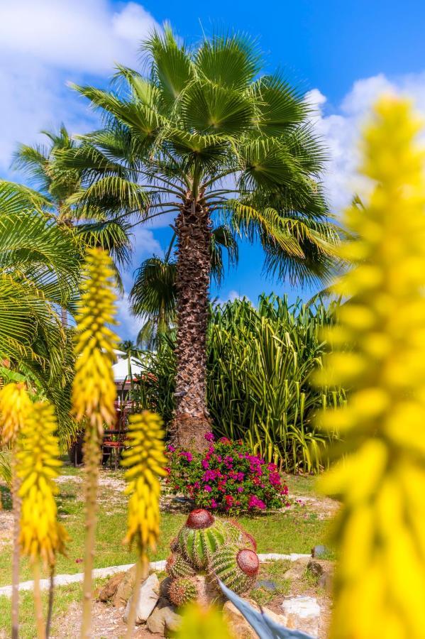 Orient Bay Palm Court Residence 4 Stars Quarter of Orleans Kültér fotó